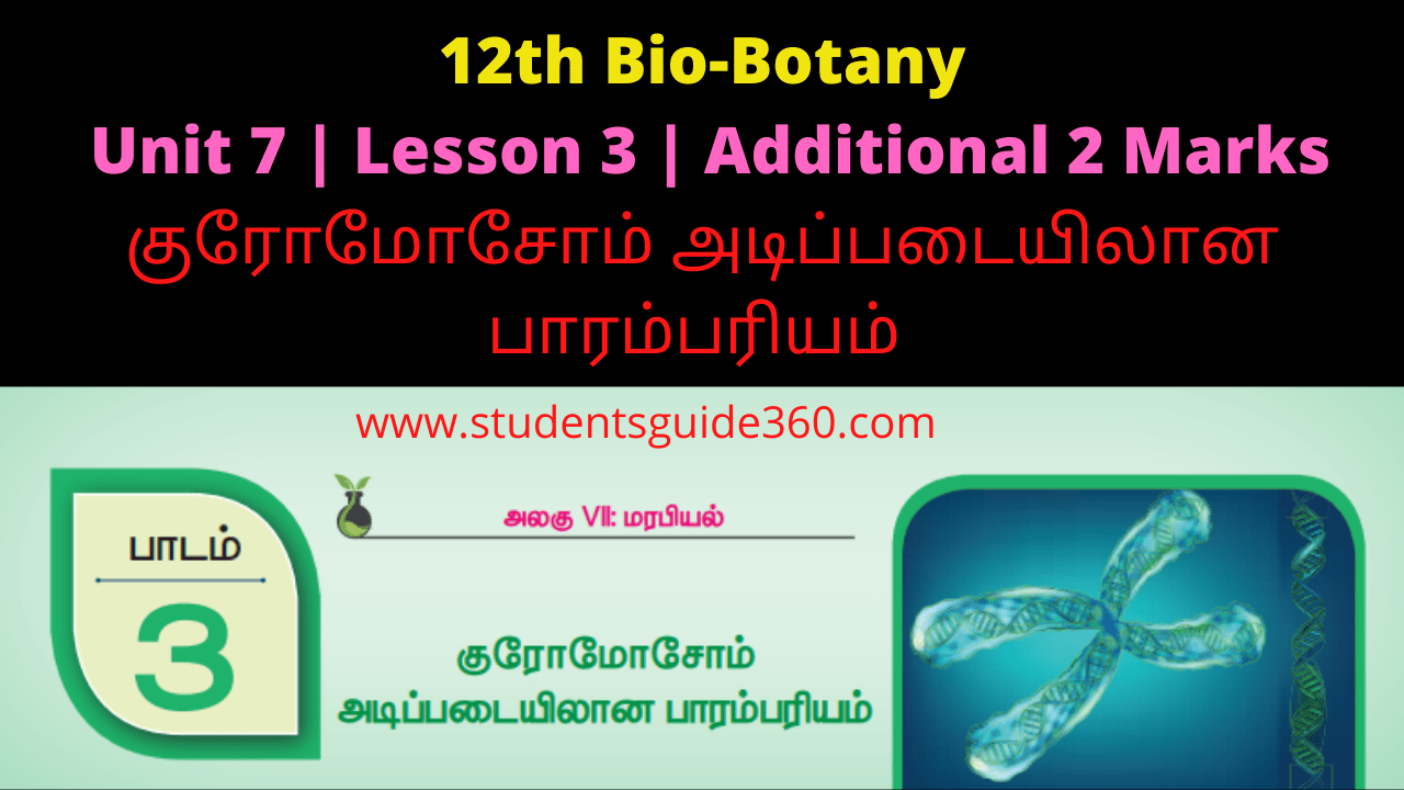 Read more about the article 12th Botany Lesson 3 Additional 2 Marks