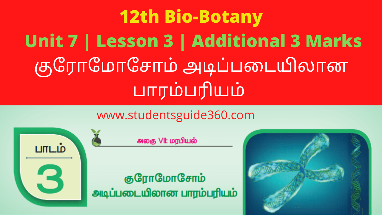 12th Botany Lesson 3 Additional 3 Marks