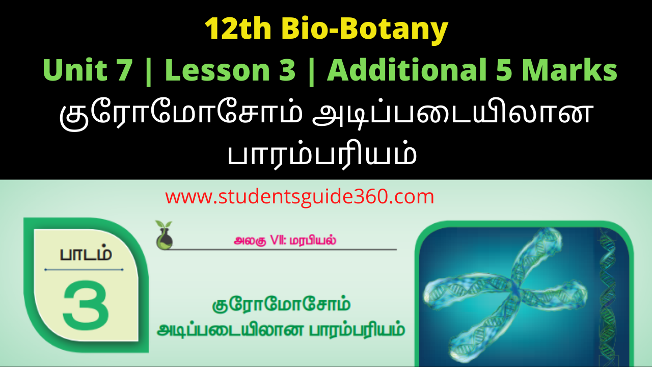 Read more about the article 12th Botany Lesson 3 Additional 5 Marks