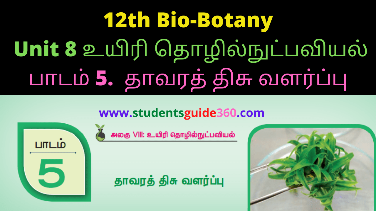 12th Bio-Botany Unit 8 உயிரி தொழில்நுட்பவியல் பாடம் 5. தாவரத் திசு வளர்ப்பு