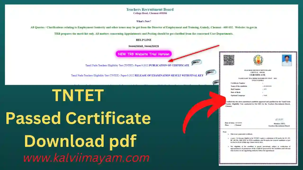 Read more about the article TNTET Passed Certificate Download pdf
