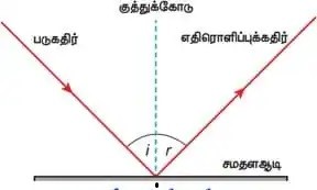 8th Science Guide Lesson 3