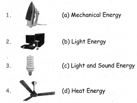 5th Science Guide Term 1 lesson 3 Energy