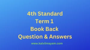 Read more about the article 4th Science Guide Term 1 Lesson 3 Work and Energy