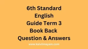 Read more about the article 6th English Guide Term 3 Lesson 2 Brought to Book