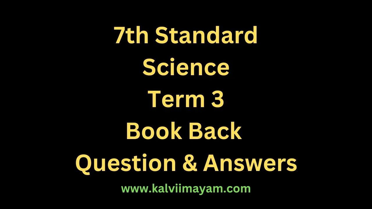 Read more about the article 7th Science Guide Term 3 Lesson 6